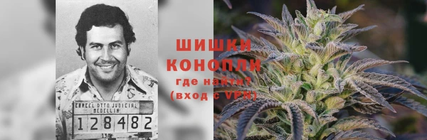 сатива Верхнеуральск