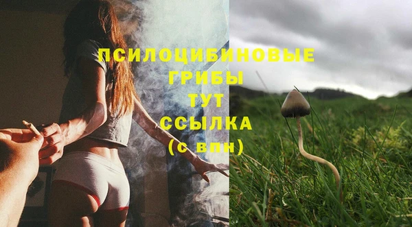 соль курить ск Верхний Тагил