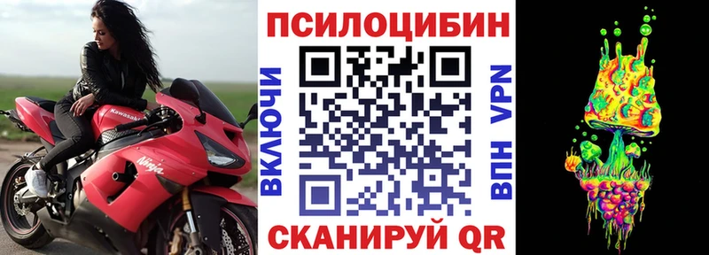 Псилоцибиновые грибы Psilocybine cubensis  где купить   Улан-Удэ 